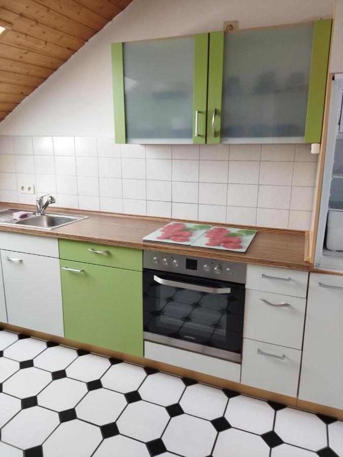 Aussergewoehnliche Atelierferienwohnung Mit Balkon An Der Donau Winzer Exterior photo