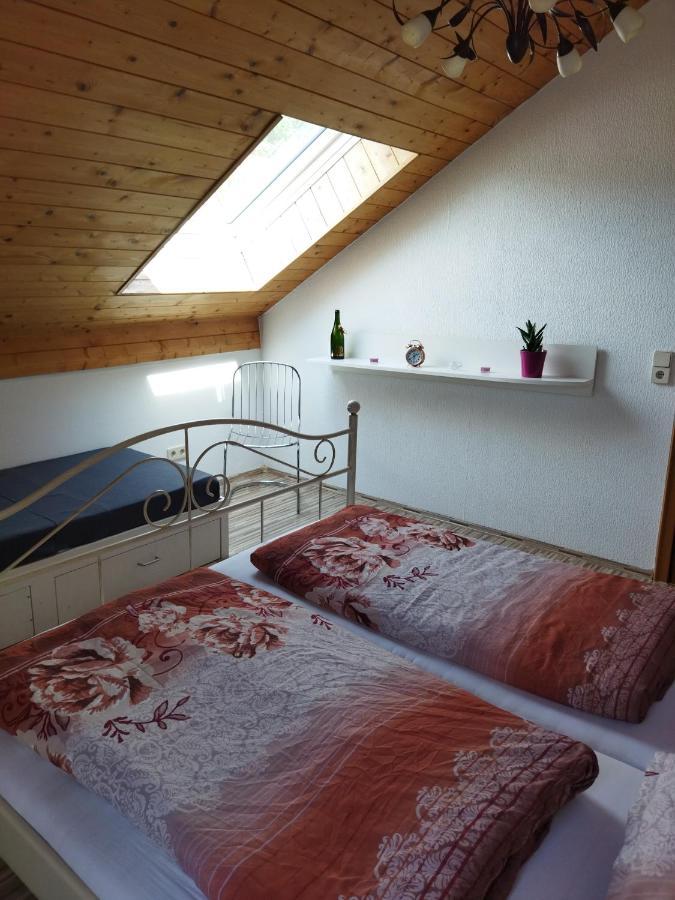 Aussergewoehnliche Atelierferienwohnung Mit Balkon An Der Donau Winzer Exterior photo