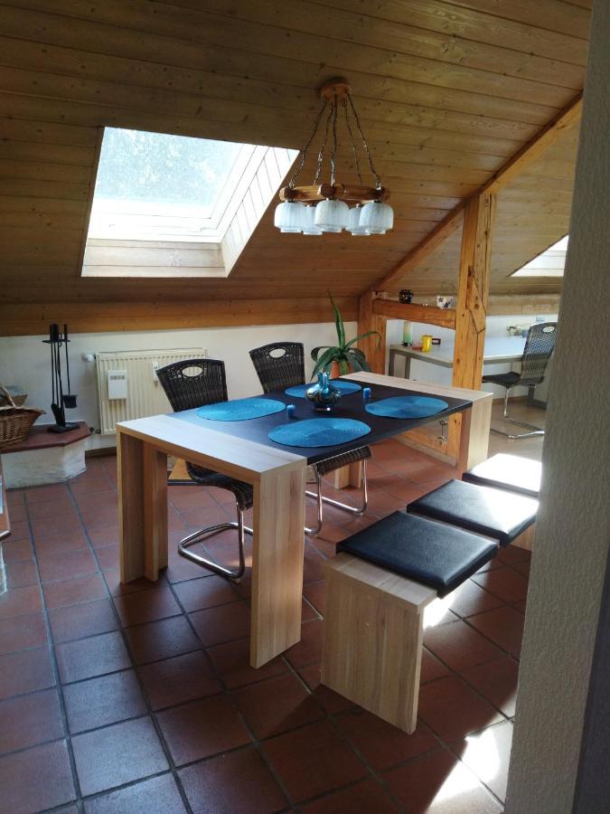Aussergewoehnliche Atelierferienwohnung Mit Balkon An Der Donau Winzer Exterior photo