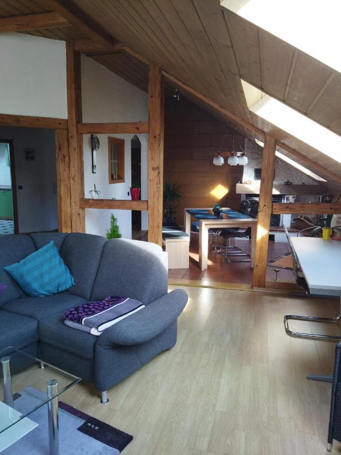 Aussergewoehnliche Atelierferienwohnung Mit Balkon An Der Donau Winzer Exterior photo