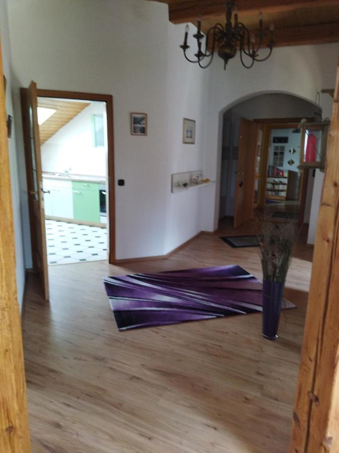Aussergewoehnliche Atelierferienwohnung Mit Balkon An Der Donau Winzer Exterior photo