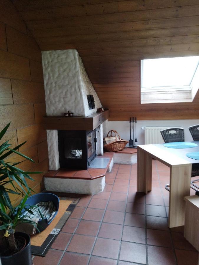 Aussergewoehnliche Atelierferienwohnung Mit Balkon An Der Donau Winzer Exterior photo